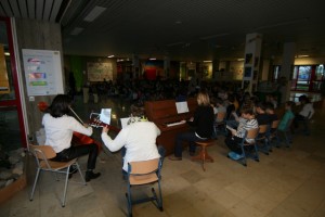 IMG 9884