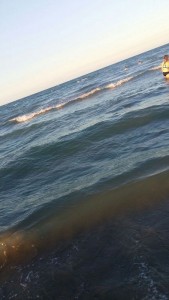 WhatsApp Image 2017-07-04 at 22.28.47